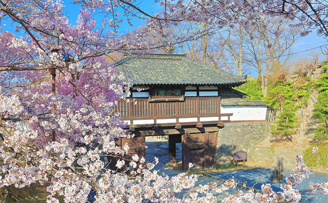 小諸城址・懐古園