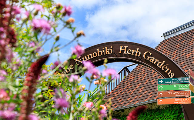 神戸布引ハーブ園