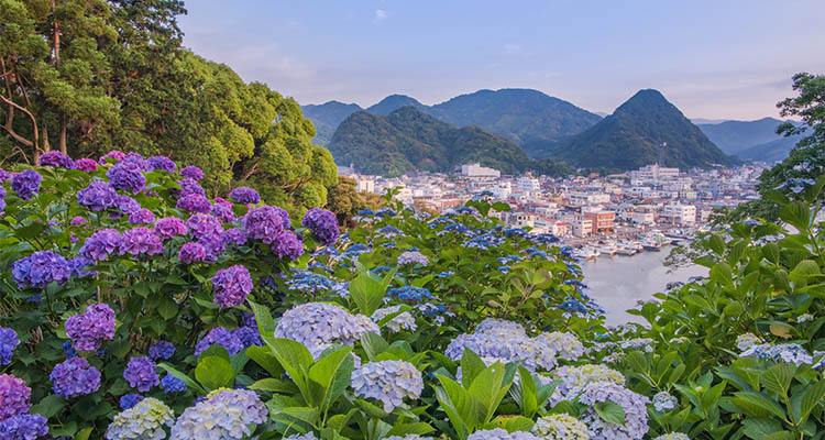 6月の1泊2日国内旅行におすすめのスポット