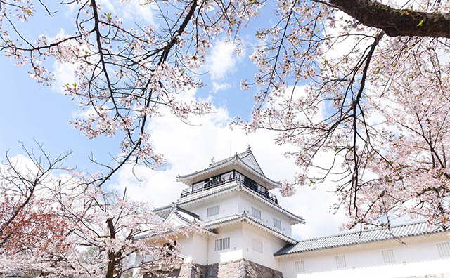 長岡観光モデルコース！車なしで満喫する1泊2日旅