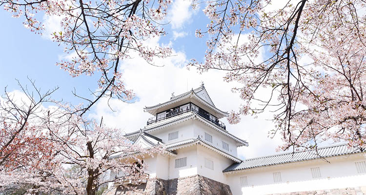 長岡観光モデルコース