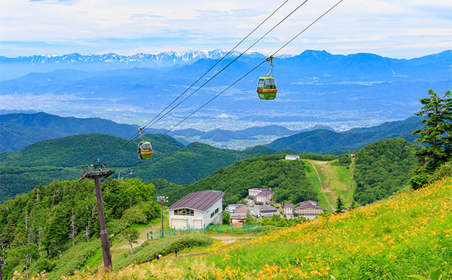 東館山高山植物園