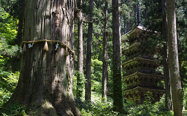 羽黒山五重塔