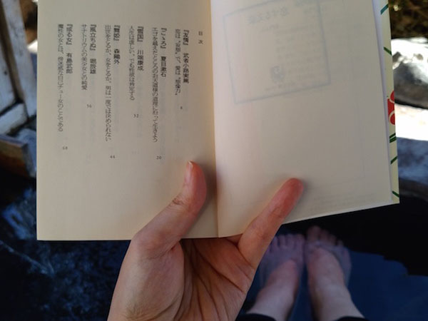 文豪ゆかりの修善寺にて「温泉旅館で読むならこれ！」を決めてきたコラムのイメージ