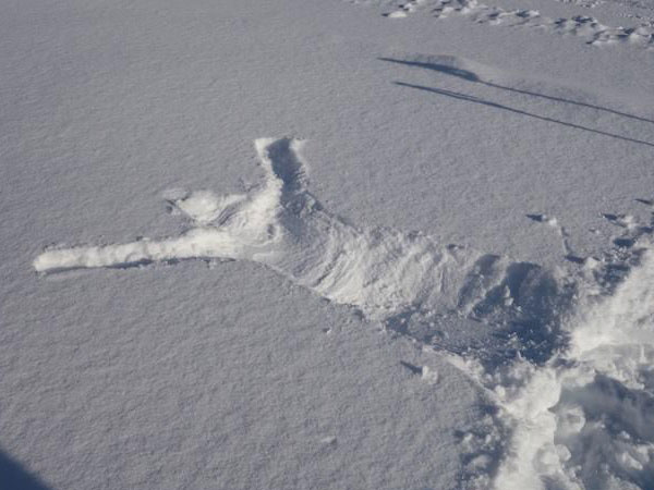 ふかふかの雪にバフッとして人型を作りたい！　スノーシューで雪遊びのイメージ