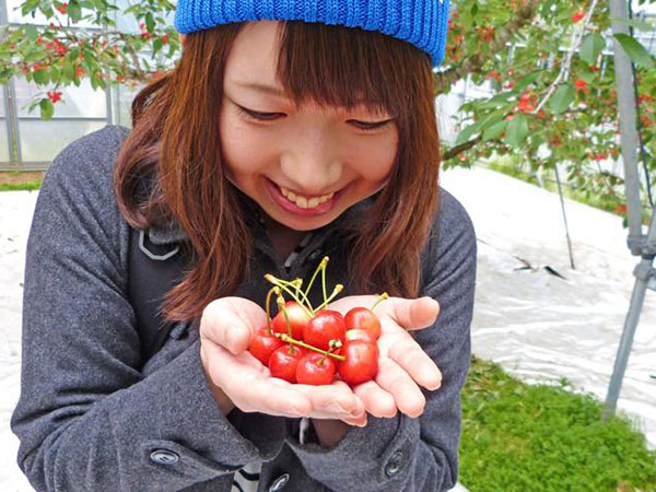 頑張る自分にビタミン注入♪山形でさくらんぼ狩り＆フルーツ堪能旅