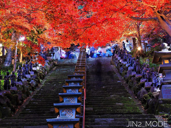 秋深まる紅葉列島──見頃を迎える関東・伊豆・北陸の絶景の紅葉を訪ねての記事イメージ