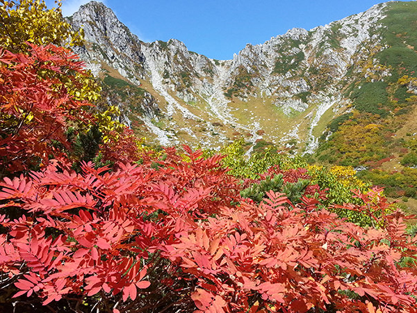 千畳敷の紅葉を見に行こう♪温泉、ビールも満喫する南信州の旅のイメージ