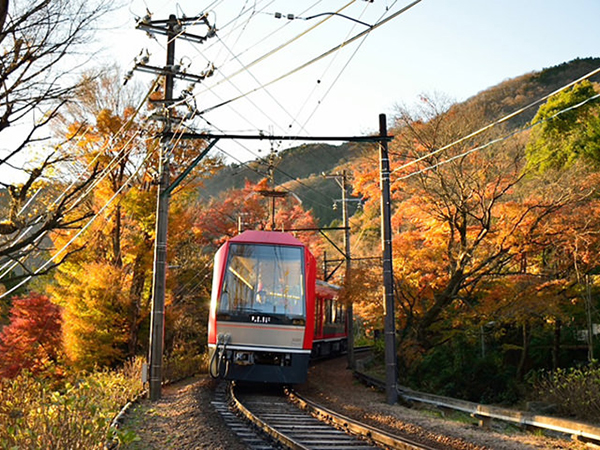 箱根登山電車に乗って、紅葉＆すすきを撮りに行こうのイメージ