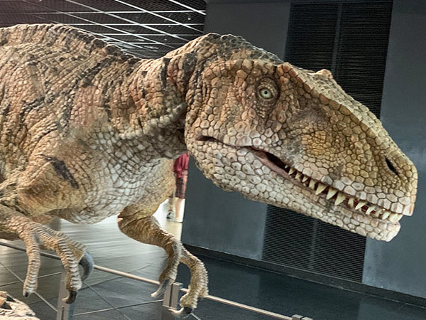 恐竜王国・福井へ潜入。恐竜博物館と越前松島水族館を親子でハシゴ！のイメージ
