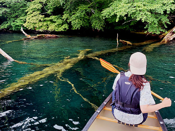 十和田湖でカヌー＆奥入瀬渓流を散策。漕いで歩いて自然を愛でる旅﻿の記事イメージ
