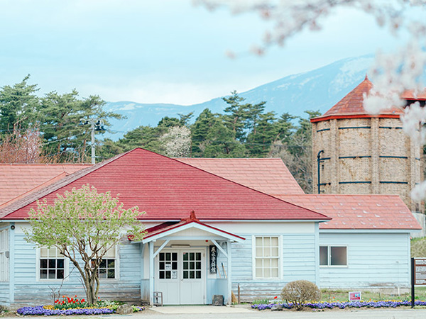 岩手・網張温泉や小岩井農場の一本桜。ひとり旅で自然に癒やされるのイメージ