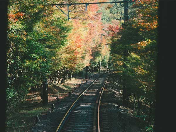 叡山電車沿線の紅葉を楽しむ。もみじのトンネルに貴船神社・京都