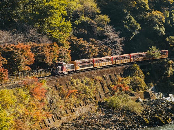 渡月橋に嵯峨野トロッコ列車「紅葉名所」を紹介する京都嵐山の旅