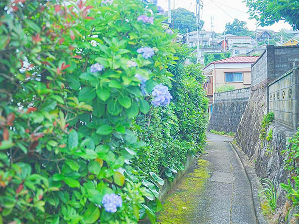 真鶴で海景色とグルメを楽しむ旅。観光スポットを巡るモデルコース