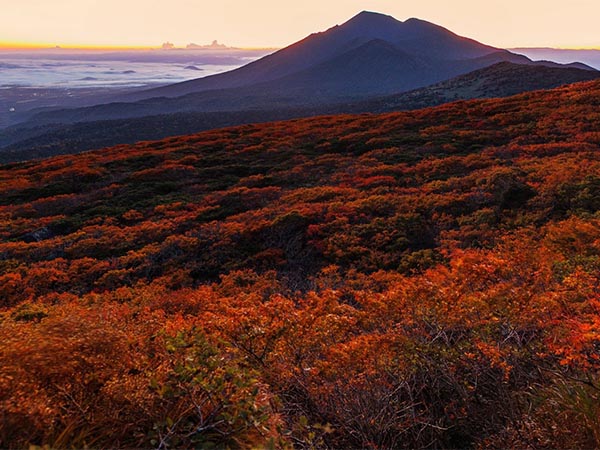 秋の旅行先が見つかる！写真映えする花畑や絶景紅葉スポット情報