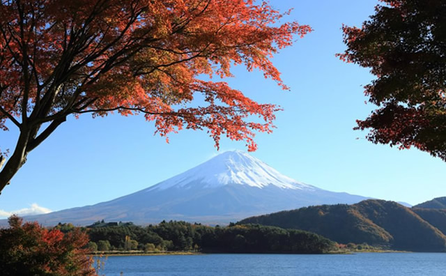 富士山 / 写真提供：やまなし観光推進機構