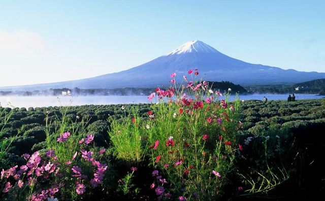 富士山と河口湖