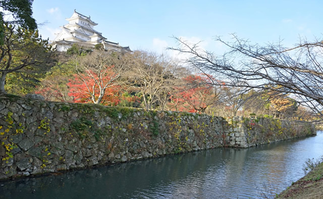 姫路城　紅葉　秋 / 提供：姫路市