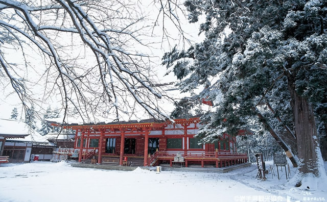 冬の毛越寺  のイメージ