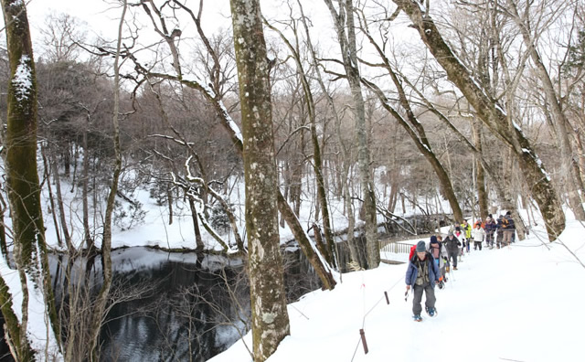 白神十二湖スノーハイク