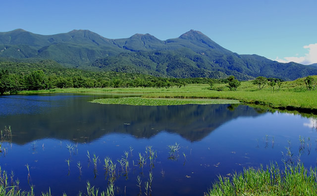 湖畔展望台より知床連山　夏