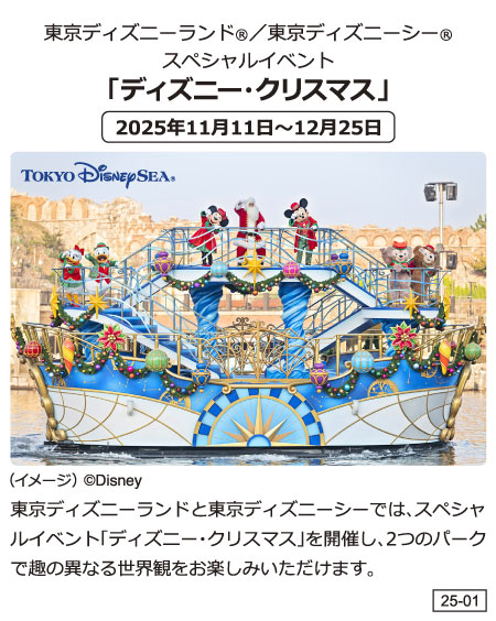 【TDL】【TDS】ディズニー･クリスマス