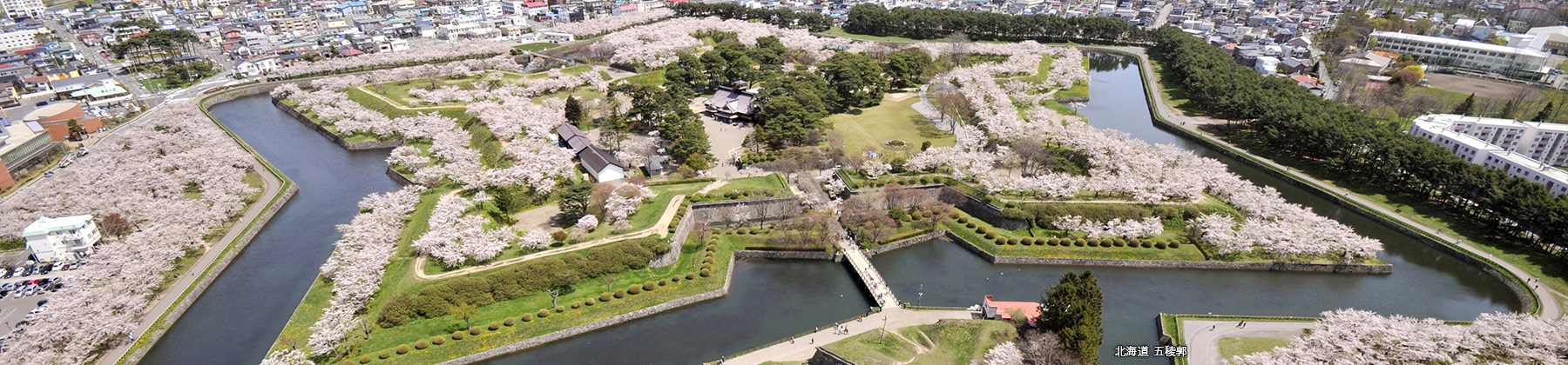 列車で巡る日本の絶景