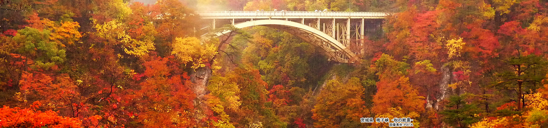 列車で巡る日本の絶景