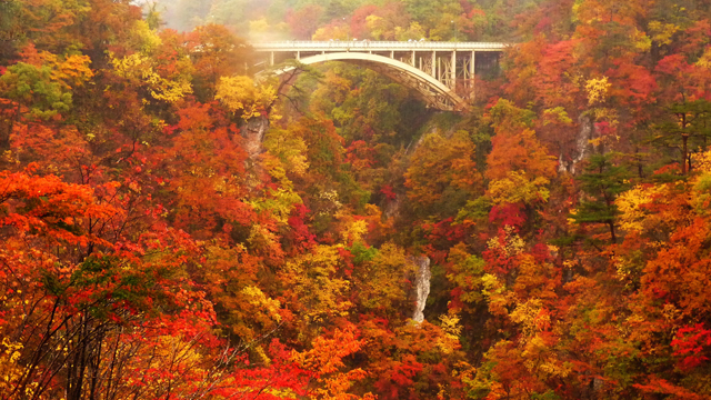 列車で巡る日本の絶景