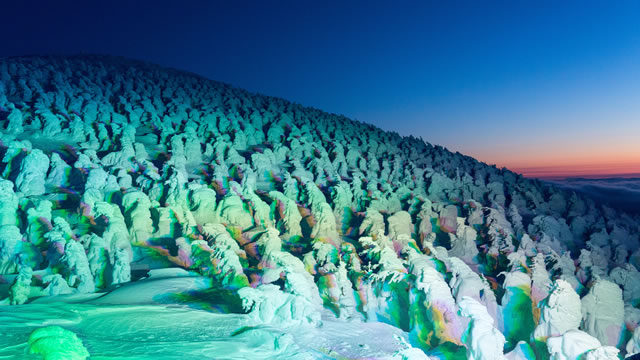 冬の絶景 山形県 蔵王の樹氷