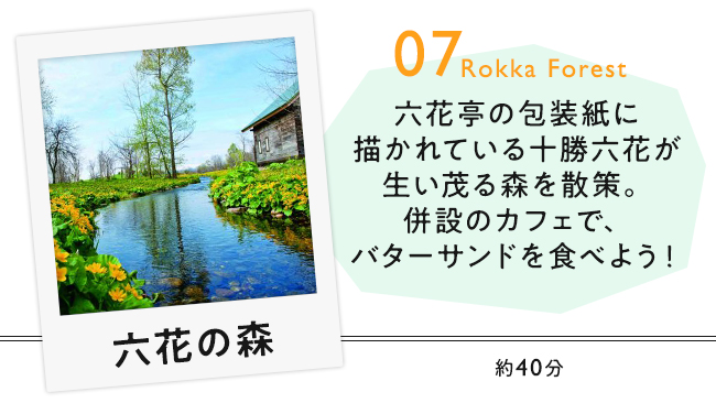 【07　六花の森】六花亭の包装紙に描かれている十勝六花が生い茂る森を散策。併設のカフェで、バターサンドを食べよう！