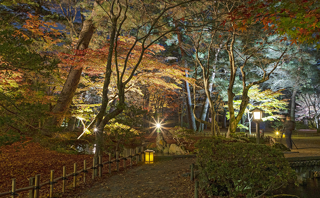 兼六園ライトアップ　山崎山周辺（秋）
