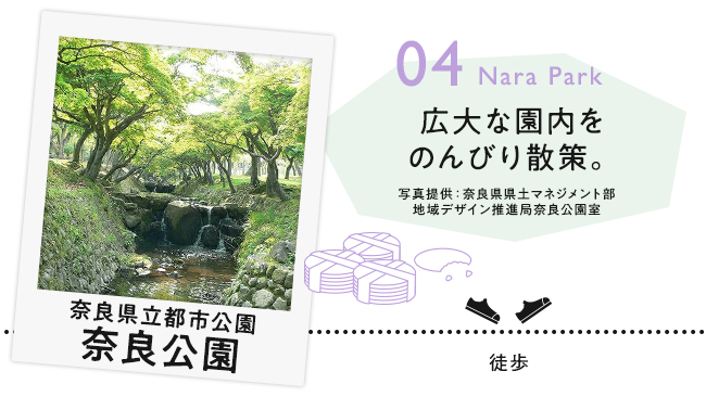 【04　奈良県立都市公園 奈良公園】広大な園内をのんびり散策。（写真提供：奈良県県土マネジメント部地域デザイン推進局奈良公園室）