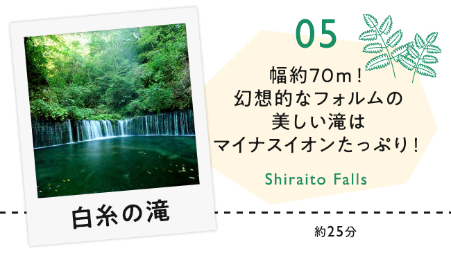 【05　白糸の滝】幅約70m！幻想的なフォルムの美しい滝はマイナスイオンたっぷり！