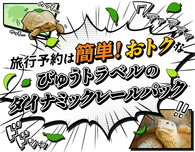 旅行予約は簡単！おトクなびゅうトラベルのダイナミックレールパック
