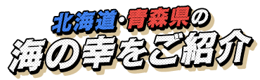 北海道・青森県　海の幸をご紹介