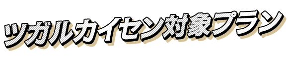 ツガルカイセン対象プラン