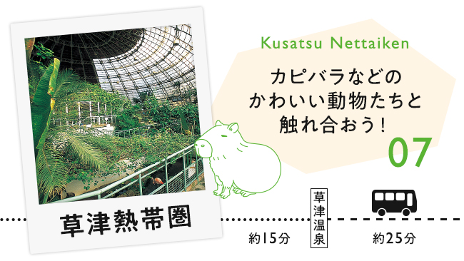 【07　草津熱帯圏】カピバラなどのかわいい動物たちと触れ合おう！