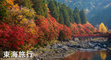 東海旅行バナー のイメージ