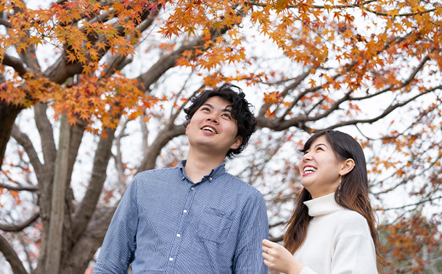 カップル・ご夫婦