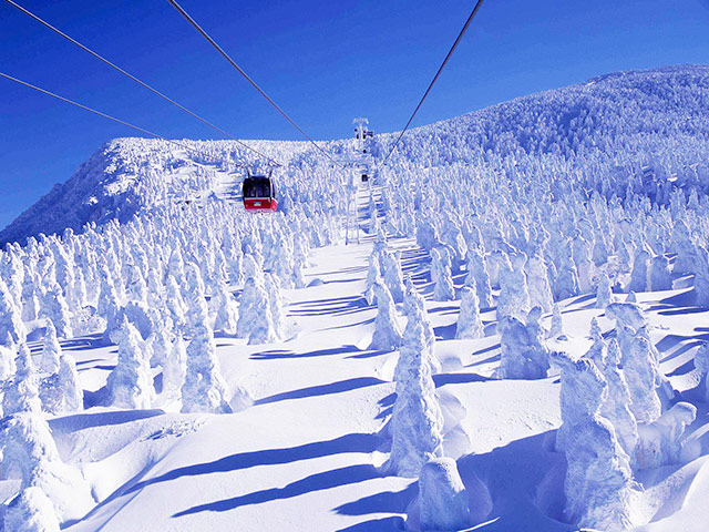 山形蔵王温泉スキー場　ゲレンデのイメージ