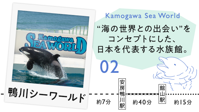 【02　鴨川シーワールド】「海の世界との出会い」をコンセプトにした、日本を代表する水族館。