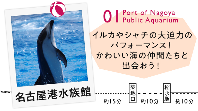 【01　名古屋港水族館】イルカやシャチの大迫力のパフォーマンス！かわいい海の仲間たちと出会おう！