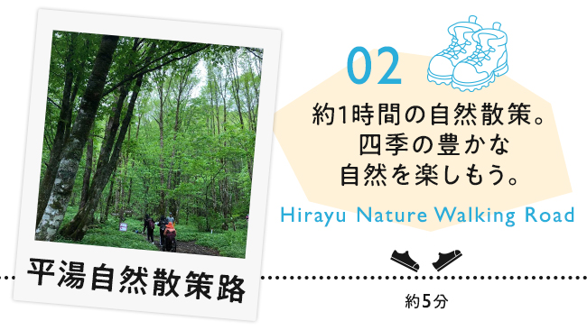 02 平湯自然散策路　約1時間の自然散策。四季の豊かな自然を楽しもう。