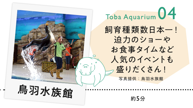 【04　鳥羽水族館】飼育種類数日本一！迫力のショーやお食事タイムなど人気のイベントも盛りだくさん！