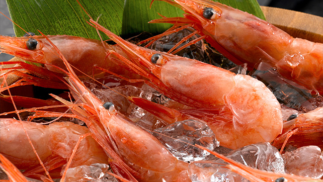 行きたい食べたい日本海！