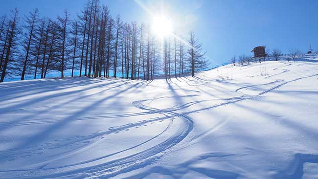 スキー&スノーボード 2025-2026